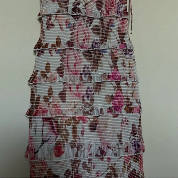 V. Chapman Geranium Dress in Garden Rose - Picture 8 of 14